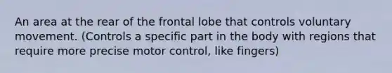 An area at the rear of the frontal lobe that controls voluntary movement. (Controls a specific part in the body with regions that require more precise motor control, like fingers)