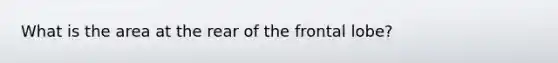 What is the area at the rear of the frontal lobe?