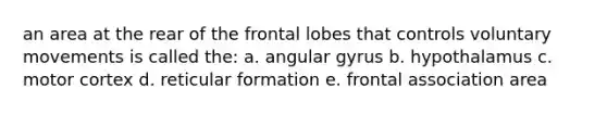 an area at the rear of the frontal lobes that controls voluntary movements is called the: a. angular gyrus b. hypothalamus c. motor cortex d. reticular formation e. frontal association area