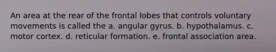 An area at the rear of the frontal lobes that controls voluntary movements is called the a. angular gyrus. b. hypothalamus. c. motor cortex. d. reticular formation. e. frontal association area.