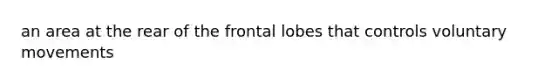 an area at the rear of the frontal lobes that controls voluntary movements