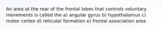 An area at the rear of the frontal lobes that controls voluntary movements is called the a) angular gyrus b) hypothalamus c) motor cortex d) reticular formation e) frontal association area