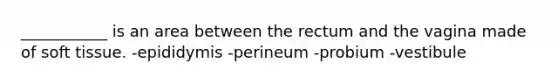 ___________ is an area between the rectum and the vagina made of soft tissue. -epididymis -perineum -probium -vestibule