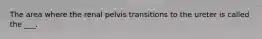 The area where the renal pelvis transitions to the ureter is called the ___.