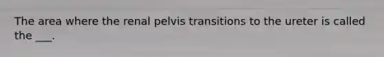 The area where the renal pelvis transitions to the ureter is called the ___.