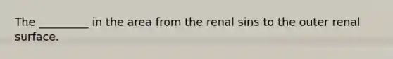 The _________ in the area from the renal sins to the outer renal surface.