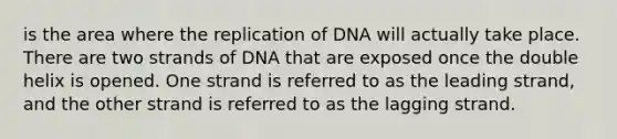 is the area where the replication of DNA will actually take place. There are two strands of DNA that are exposed once the double helix is opened. One strand is referred to as the leading strand, and the other strand is referred to as the lagging strand.