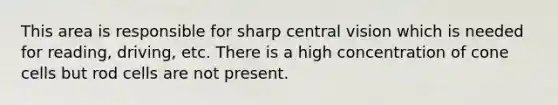 This area is responsible for sharp central vision which is needed for reading, driving, etc. There is a high concentration of cone cells but rod cells are not present.