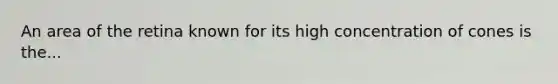 An area of the retina known for its high concentration of cones is the...