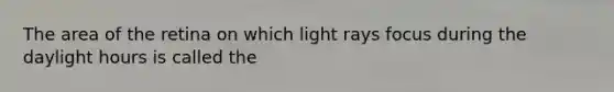 The area of the retina on which light rays focus during the daylight hours is called the