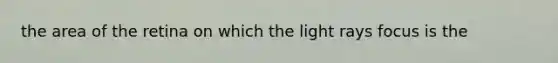 the area of the retina on which the light rays focus is the