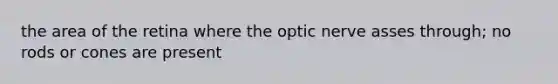 the area of the retina where the optic nerve asses through; no rods or cones are present