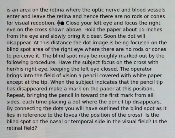 is an area on the retina where the optic nerve and blood vessels enter and leave the retina and hence there are no rods or cones for visual reception. ╬● Close your left eye and focus the right eye on the cross shown above. Hold the paper about 15 inches from the eye and slowly bring it closer. Soon the dot will disappear. At this distance the dot image is being focused on the blind spot area of the right eye where there are no rods or cones to perceive it. The blind spot may be roughly marked out by the following procedure. Have the subject focus on the cross with her/his right eye, keeping the left eye closed. The operator brings into the field of vision a pencil covered with white paper except at the tip. When the subject indicates that the pencil tip has disappeared make a mark on the paper at this position. Repeat, bringing the pencil in toward the first mark from all sides, each time placing a dot where the pencil tip disappears. By connecting the dots you will have outlined the blind spot as it lies in reference to the fovea (the position of the cross). Is the blind spot on the nasal or temporal side in the visual field? In the retinal field?