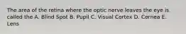 The area of the retina where the optic nerve leaves the eye is called the A. Blind Spot B. Pupil C. Visual Cortex D. Cornea E. Lens