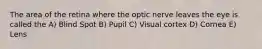 The area of the retina where the optic nerve leaves the eye is called the A) Blind Spot B) Pupil C) Visual cortex D) Cornea E) Lens