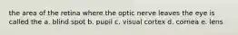 the area of the retina where the optic nerve leaves the eye is called the a. blind spot b. pupil c. visual cortex d. cornea e. lens