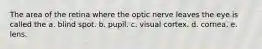 The area of the retina where the optic nerve leaves the eye is called the a. blind spot. b. pupil. c. visual cortex. d. cornea. e. lens.