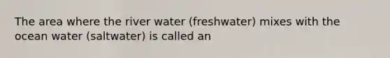 The area where the river water (freshwater) mixes with the ocean water (saltwater) is called an