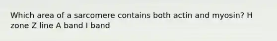 Which area of a sarcomere contains both actin and myosin? H zone Z line A band I band