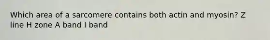 Which area of a sarcomere contains both actin and myosin? Z line H zone A band I band