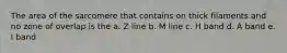 The area of the sarcomere that contains on thick filaments and no zone of overlap is the a. Z line b. M line c. H band d. A band e. I band