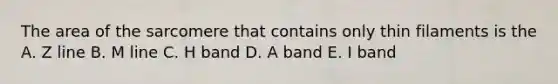 The area of the sarcomere that contains only thin filaments is the A. Z line B. M line C. H band D. A band E. I band