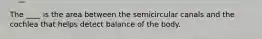 The ____ is the area between the semicircular canals and the cochlea that helps detect balance of the body.