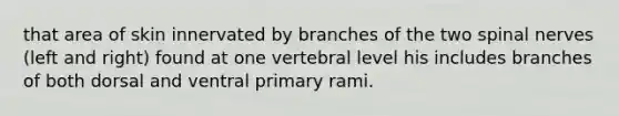 that area of skin innervated by branches of the two <a href='https://www.questionai.com/knowledge/kyBL1dWgAx-spinal-nerves' class='anchor-knowledge'>spinal nerves</a> (left and right) found at one vertebral level his includes branches of both dorsal and ventral primary rami.