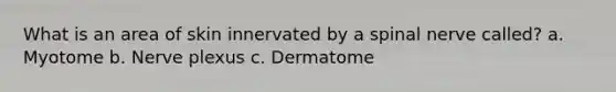 What is an area of skin innervated by a spinal nerve called? a. Myotome b. Nerve plexus c. Dermatome