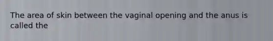 The area of skin between the vaginal opening and the anus is called the