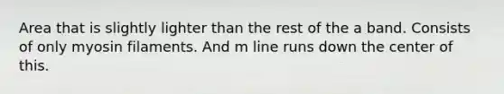 Area that is slightly lighter than the rest of the a band. Consists of only myosin filaments. And m line runs down the center of this.