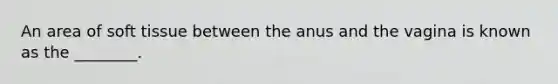 An area of soft tissue between the anus and the vagina is known as the ________.