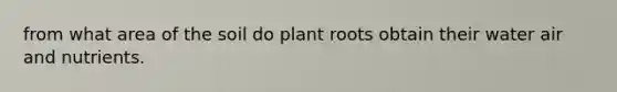 from what area of the soil do plant roots obtain their water air and nutrients.