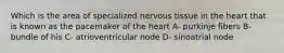 Which is the area of specialized nervous tissue in the heart that is known as the pacemaker of the heart A- purkinje fibers B- bundle of his C- atrioventricular node D- sinoatrial node