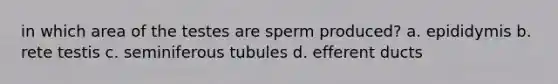 in which area of the testes are sperm produced? a. epididymis b. rete testis c. seminiferous tubules d. efferent ducts