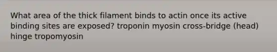 What area of the thick filament binds to actin once its active binding sites are exposed? troponin myosin cross-bridge (head) hinge tropomyosin