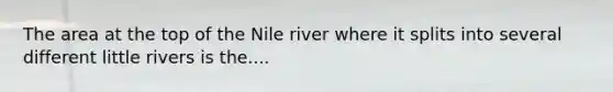 The area at the top of the Nile river where it splits into several different little rivers is the....