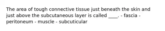 The area of tough connective tissue just beneath the skin and just above the subcutaneous layer is called ____. - fascia - peritoneum - muscle - subcuticular