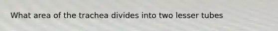 What area of the trachea divides into two lesser tubes