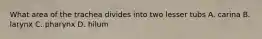 What area of the trachea divides into two lesser tubs A. carina B. larynx C. pharynx D. hilum