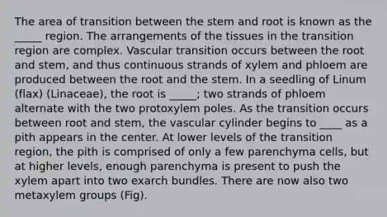 The area of transition between the stem and root is known as the _____ region. The arrangements of the tissues in the transition region are complex. Vascular transition occurs between the root and stem, and thus continuous strands of xylem and phloem are produced between the root and the stem. In a seedling of Linum (flax) (Linaceae), the root is _____; two strands of phloem alternate with the two protoxylem poles. As the transition occurs between root and stem, the vascular cylinder begins to ____ as a pith appears in the center. At lower levels of the transition region, the pith is comprised of only a few parenchyma cells, but at higher levels, enough parenchyma is present to push the xylem apart into two exarch bundles. There are now also two metaxylem groups (Fig).