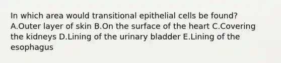 In which area would transitional epithelial cells be found? A.Outer layer of skin B.On the surface of the heart C.Covering the kidneys D.Lining of the urinary bladder E.Lining of the esophagus