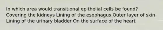 In which area would transitional epithelial cells be found? Covering the kidneys Lining of <a href='https://www.questionai.com/knowledge/kSjVhaa9qF-the-esophagus' class='anchor-knowledge'>the esophagus</a> Outer layer of skin Lining of the <a href='https://www.questionai.com/knowledge/kb9SdfFdD9-urinary-bladder' class='anchor-knowledge'>urinary bladder</a> On the surface of <a href='https://www.questionai.com/knowledge/kya8ocqc6o-the-heart' class='anchor-knowledge'>the heart</a>