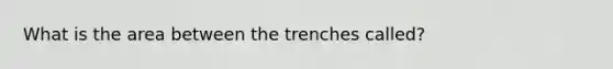 What is the area between the trenches called?