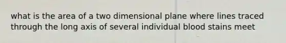 what is the area of a two dimensional plane where lines traced through the long axis of several individual blood stains meet