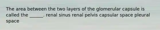 The area between the two layers of the glomerular capsule is called the ______. renal sinus renal pelvis capsular space pleural space