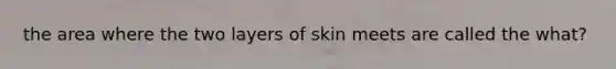 the area where the two layers of skin meets are called the what?