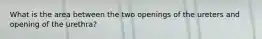 What is the area between the two openings of the ureters and opening of the urethra?