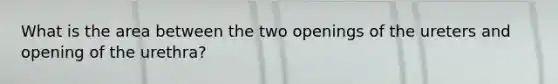 What is the area between the two openings of the ureters and opening of the urethra?