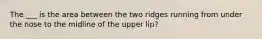 The ___ is the area between the two ridges running from under the nose to the midline of the upper lip?